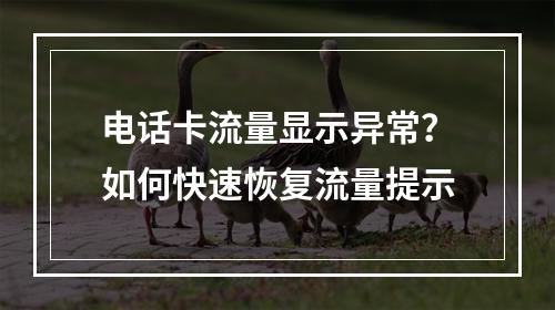 电话卡流量显示异常？如何快速恢复流量提示