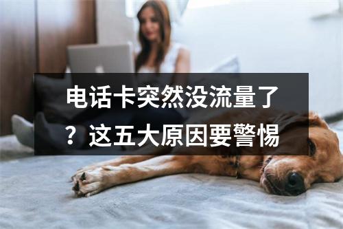 电话卡突然没流量了？这五大原因要警惕