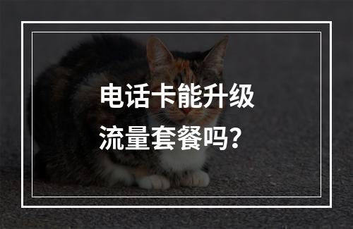 电话卡能升级流量套餐吗？