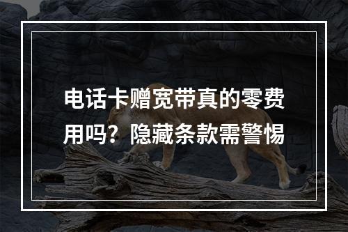 电话卡赠宽带真的零费用吗？隐藏条款需警惕