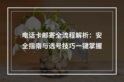 电话卡邮寄全流程解析：安全指南与选号技巧一键掌握