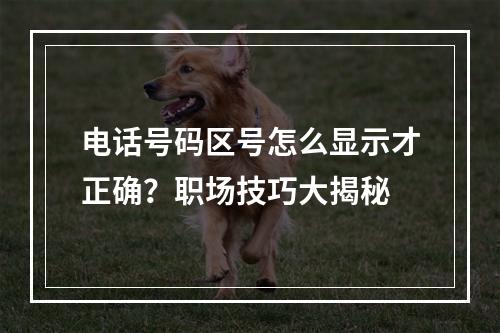 电话号码区号怎么显示才正确？职场技巧大揭秘