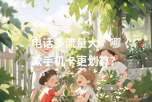 电话多流量大，哪款手机卡更划算？