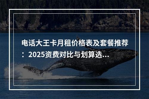 电话大王卡月租价格表及套餐推荐：2025资费对比与划算选择