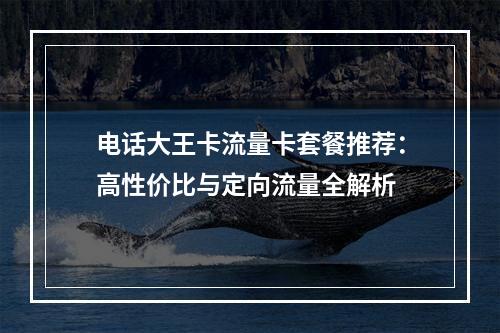 电话大王卡流量卡套餐推荐：高性价比与定向流量全解析