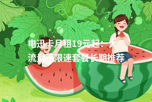 电迅卡月租19元起：大流量不限速套餐长期推荐