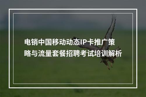 电销中国移动动态IP卡推广策略与流量套餐招聘考试培训解析