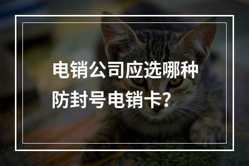 电销公司应选哪种防封号电销卡？
