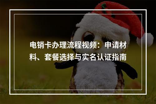 电销卡办理流程视频：申请材料、套餐选择与实名认证指南