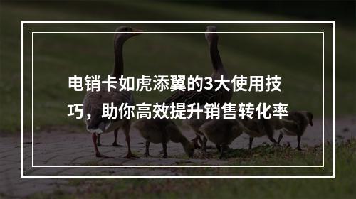 电销卡如虎添翼的3大使用技巧，助你高效提升销售转化率