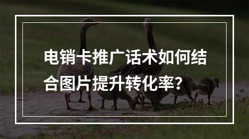 电销卡推广话术如何结合图片提升转化率？