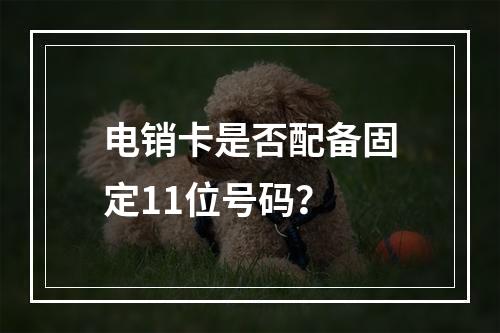 电销卡是否配备固定11位号码？