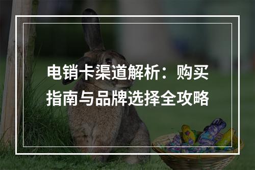 电销卡渠道解析：购买指南与品牌选择全攻略