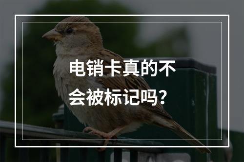电销卡真的不会被标记吗？