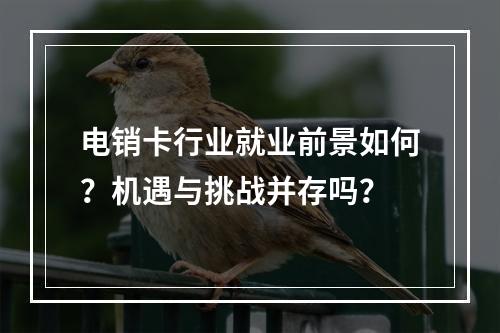 电销卡行业就业前景如何？机遇与挑战并存吗？
