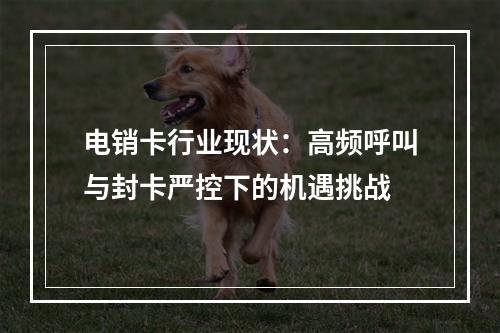 电销卡行业现状：高频呼叫与封卡严控下的机遇挑战