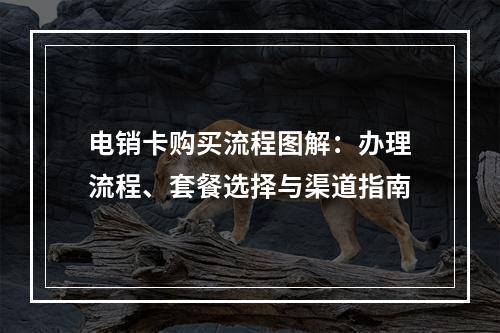 电销卡购买流程图解：办理流程、套餐选择与渠道指南