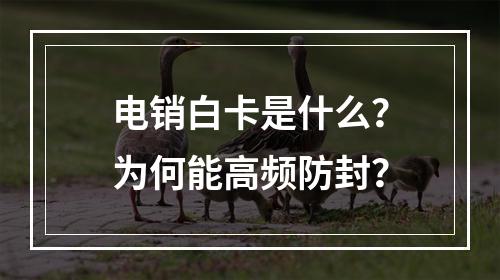电销白卡是什么？为何能高频防封？