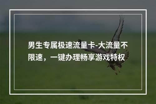 男生专属极速流量卡-大流量不限速，一键办理畅享游戏特权