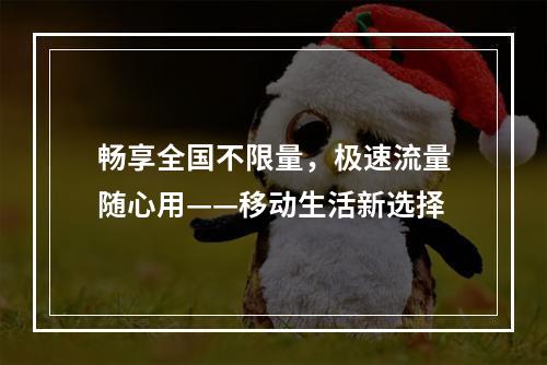 畅享全国不限量，极速流量随心用——移动生活新选择
