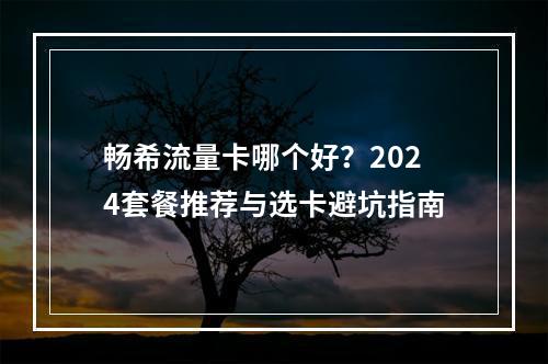 畅希流量卡哪个好？2024套餐推荐与选卡避坑指南