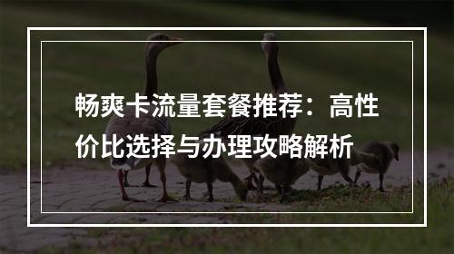 畅爽卡流量套餐推荐：高性价比选择与办理攻略解析