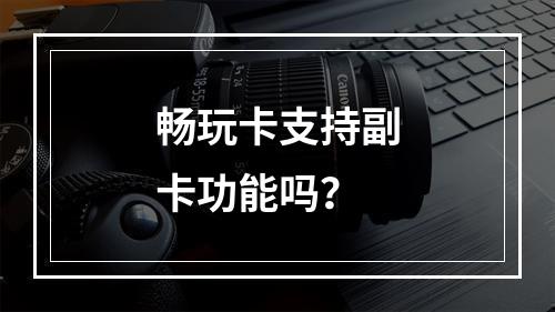 畅玩卡支持副卡功能吗？