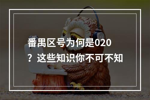 番禺区号为何是020？这些知识你不可不知