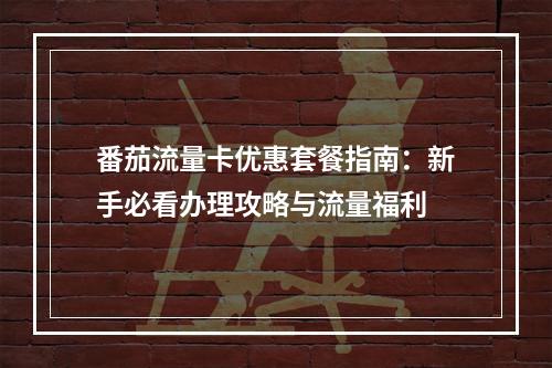 番茄流量卡优惠套餐指南：新手必看办理攻略与流量福利