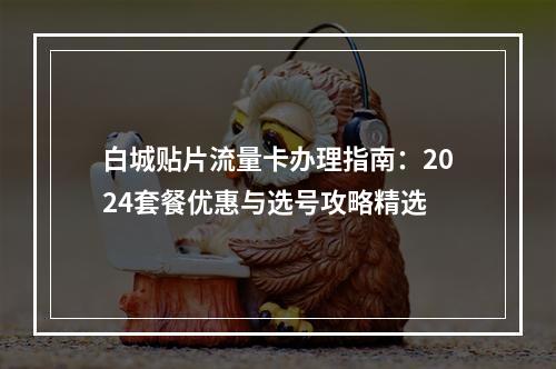 白城贴片流量卡办理指南：2024套餐优惠与选号攻略精选