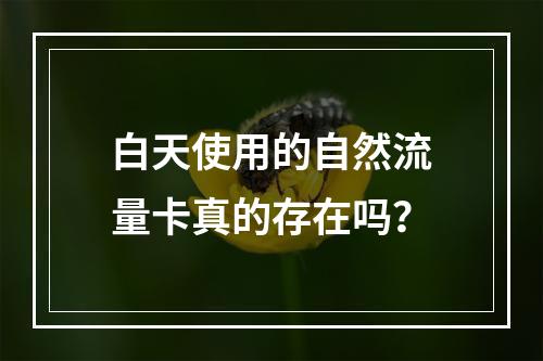 白天使用的自然流量卡真的存在吗？