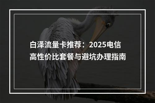 白泽流量卡推荐：2025电信高性价比套餐与避坑办理指南