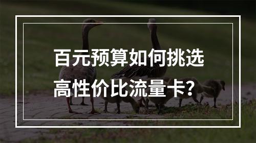 百元预算如何挑选高性价比流量卡？