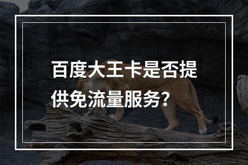 百度大王卡是否提供免流量服务？