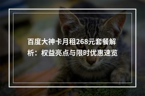 百度大神卡月租268元套餐解析：权益亮点与限时优惠速览