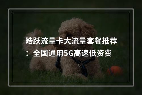 皓跃流量卡大流量套餐推荐：全国通用5G高速低资费