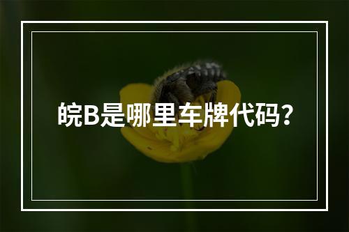 皖B是哪里车牌代码？