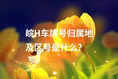 皖H车牌号归属地及区号是什么？