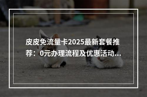 皮皮免流量卡2025最新套餐推荐：0元办理流程及优惠活动解析