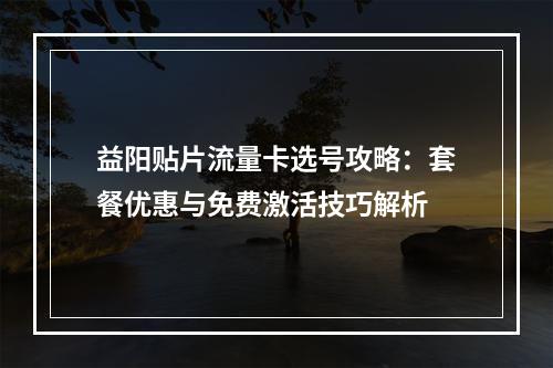 益阳贴片流量卡选号攻略：套餐优惠与免费激活技巧解析