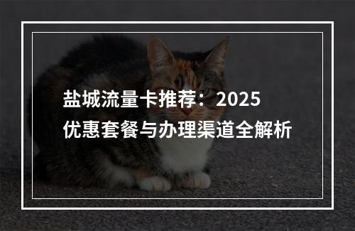 盐城流量卡推荐：2025优惠套餐与办理渠道全解析