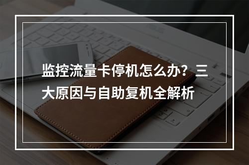 监控流量卡停机怎么办？三大原因与自助复机全解析
