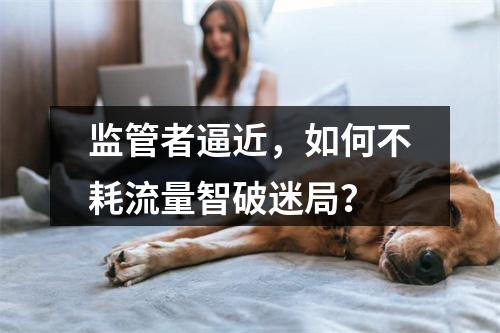 监管者逼近，如何不耗流量智破迷局？