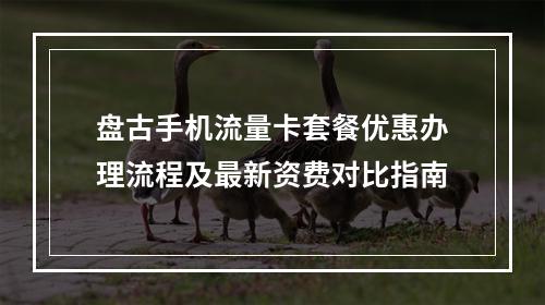 盘古手机流量卡套餐优惠办理流程及最新资费对比指南