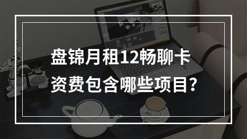 盘锦月租12畅聊卡资费包含哪些项目？