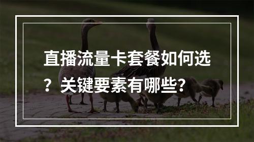 直播流量卡套餐如何选？关键要素有哪些？
