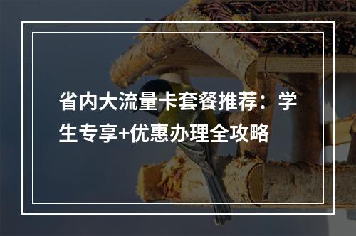 省内大流量卡套餐推荐：学生专享+优惠办理全攻略