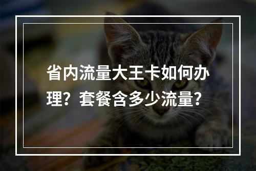 省内流量大王卡如何办理？套餐含多少流量？