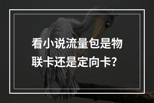 看小说流量包是物联卡还是定向卡？