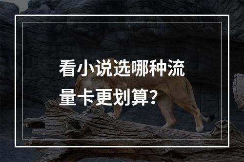 看小说选哪种流量卡更划算？